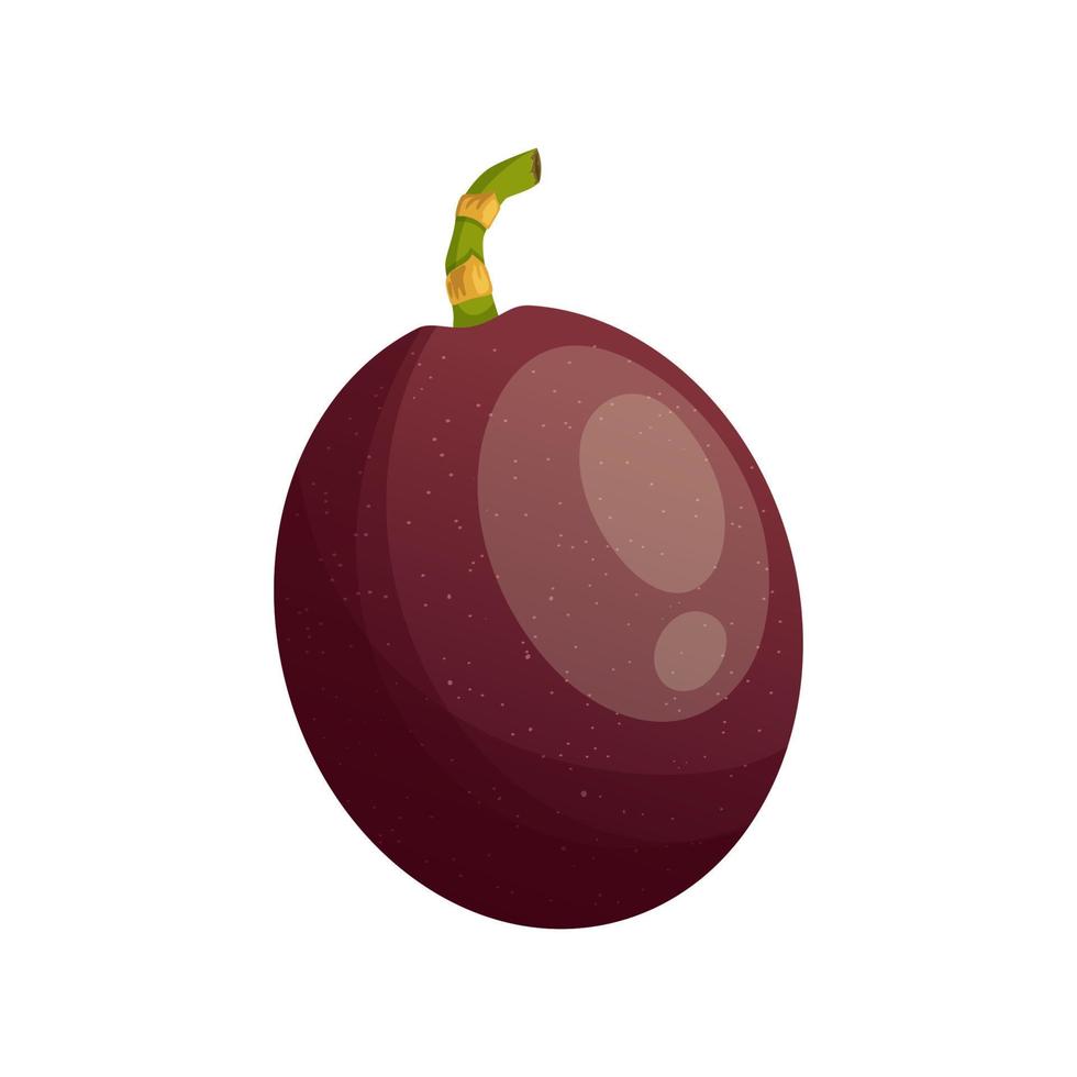 passion fruit cartoon vector illustration