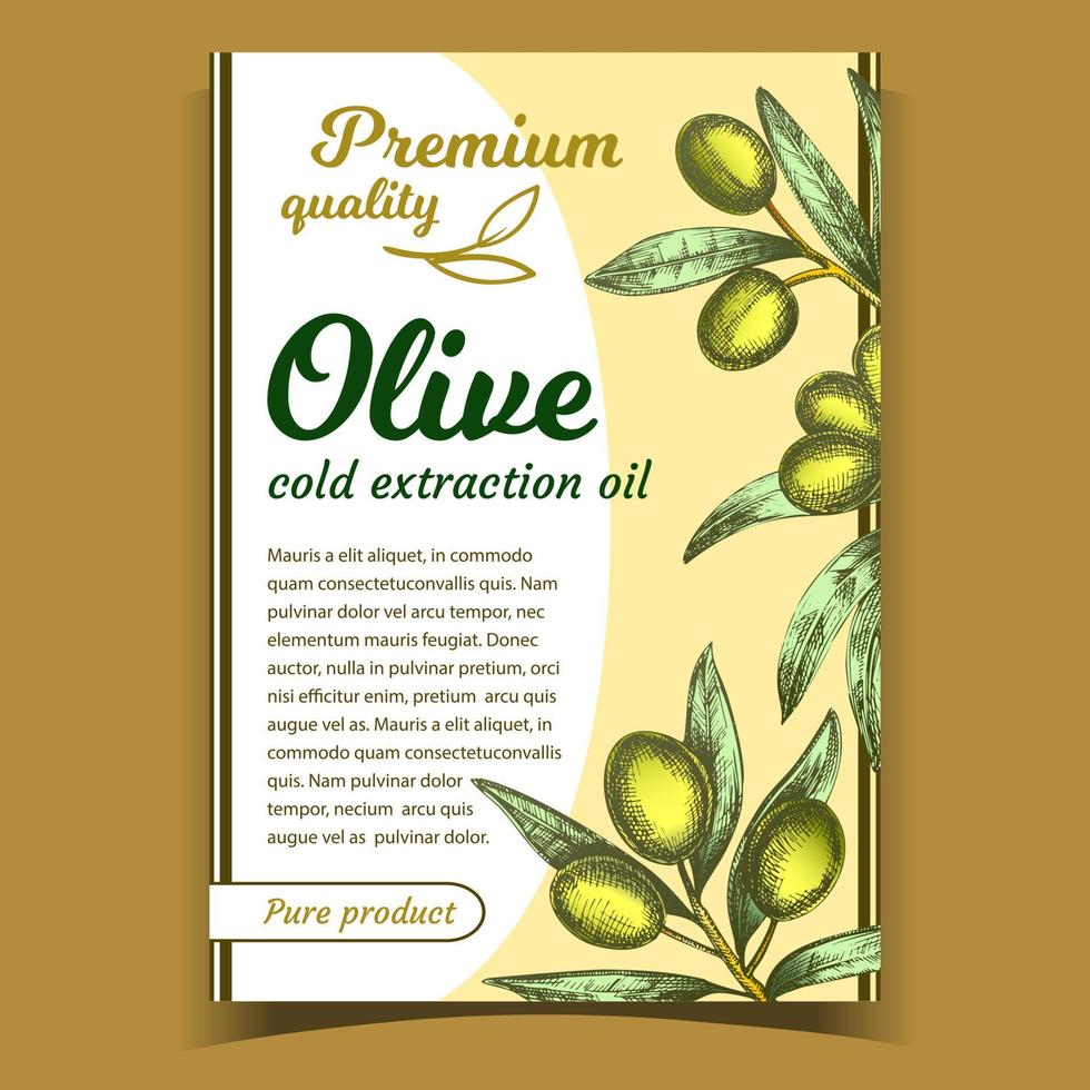 vector de cartel de producto de calidad premium de aceite de oliva