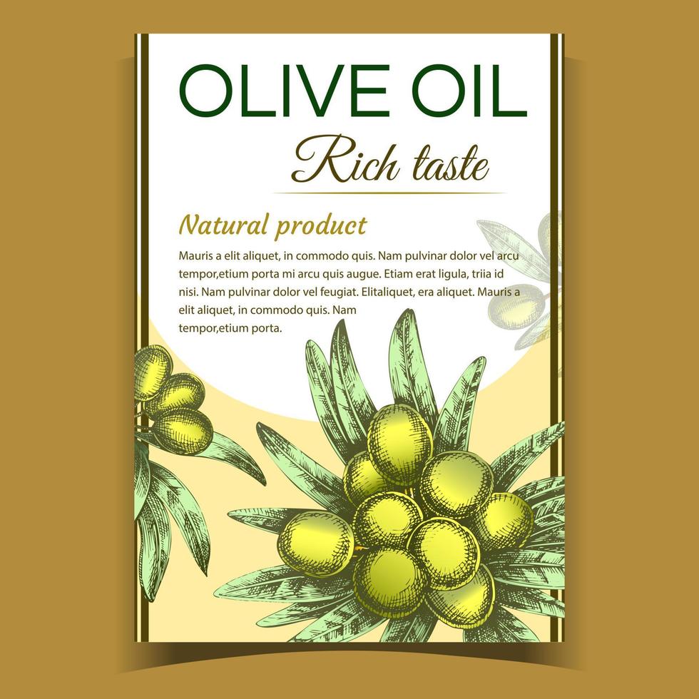 Agricultural Olive Tree Branch on Poster Vector
