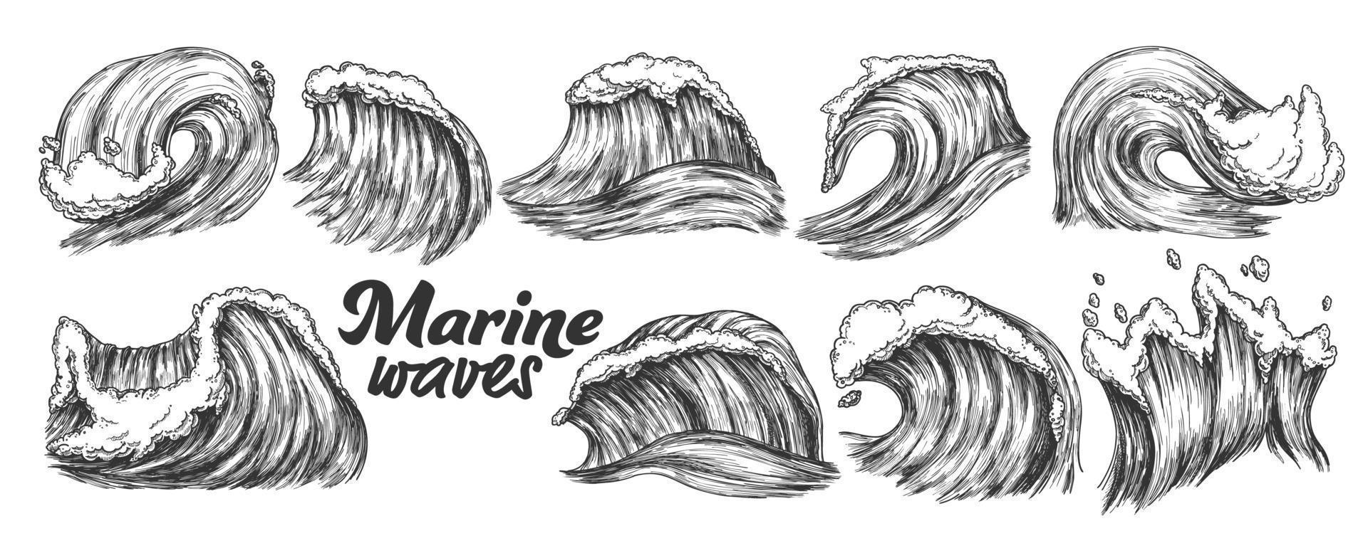 Designed Sketch Splash Marine Wave Set Vector