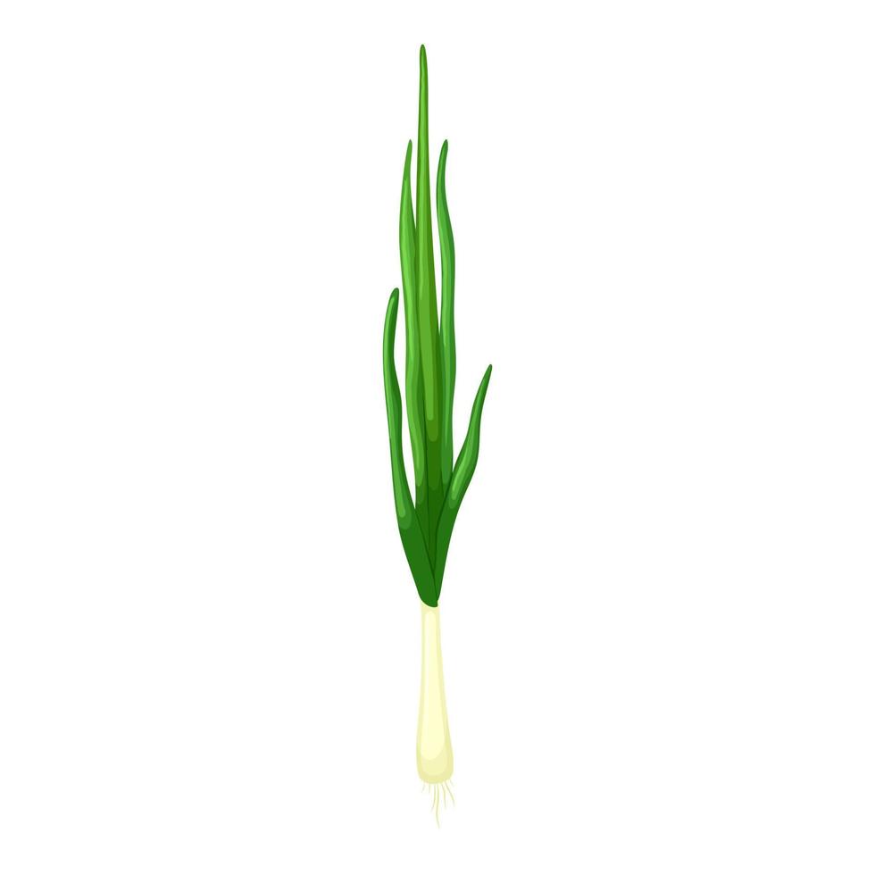 onion green cartoon vector illustration