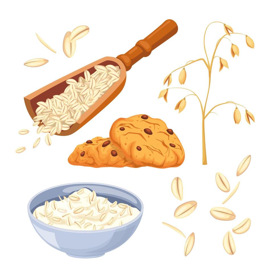 ilustración de vector de dibujos animados conjunto saludable de comida de avena