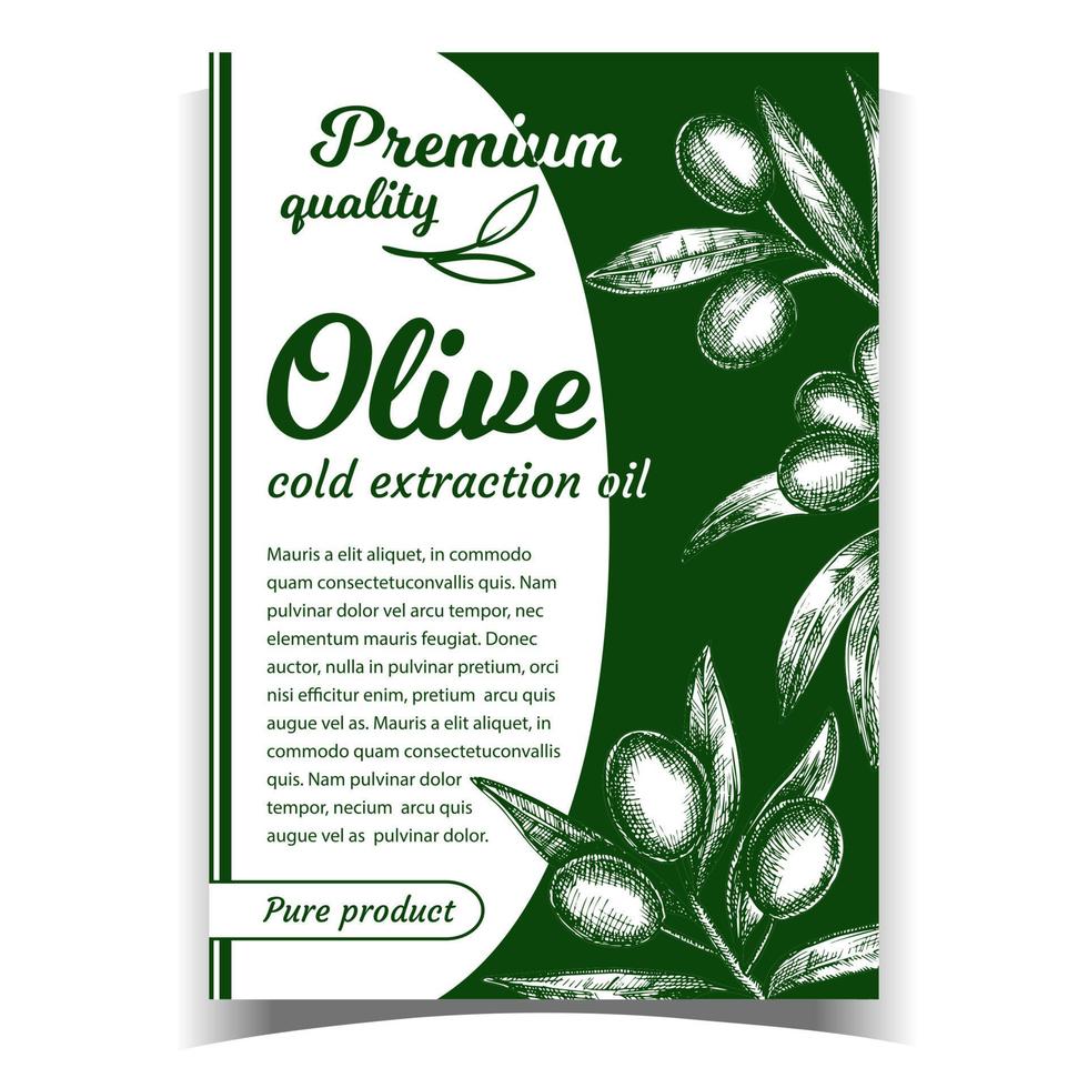 Olive Oil Premium Quality Product Poster Vector