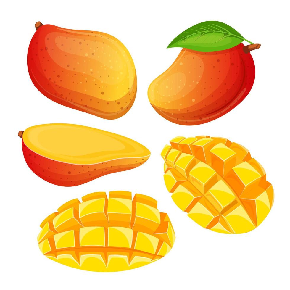 ilustración de vector de dibujos animados de conjunto de fruta de mango