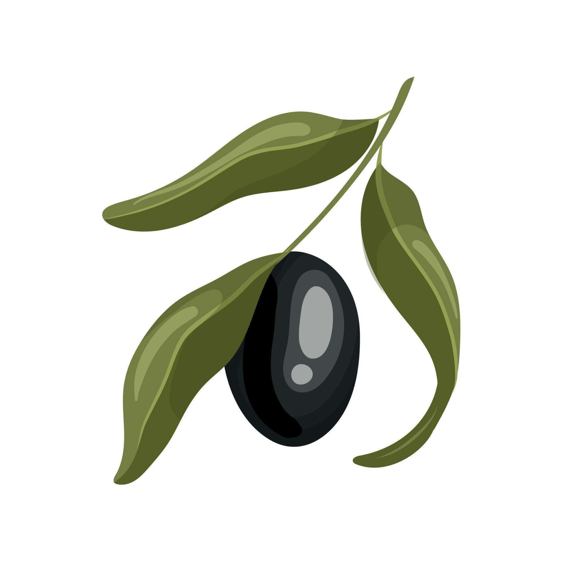 olive black cartoon vector illustration 17416189 Vector Art at Vecteezy