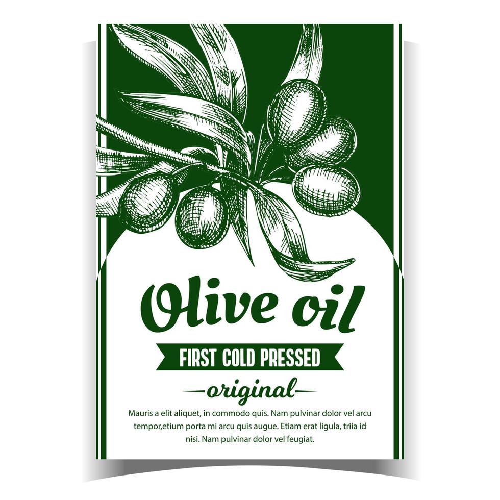 Olive Extra Virgin Organic Product Label Vector