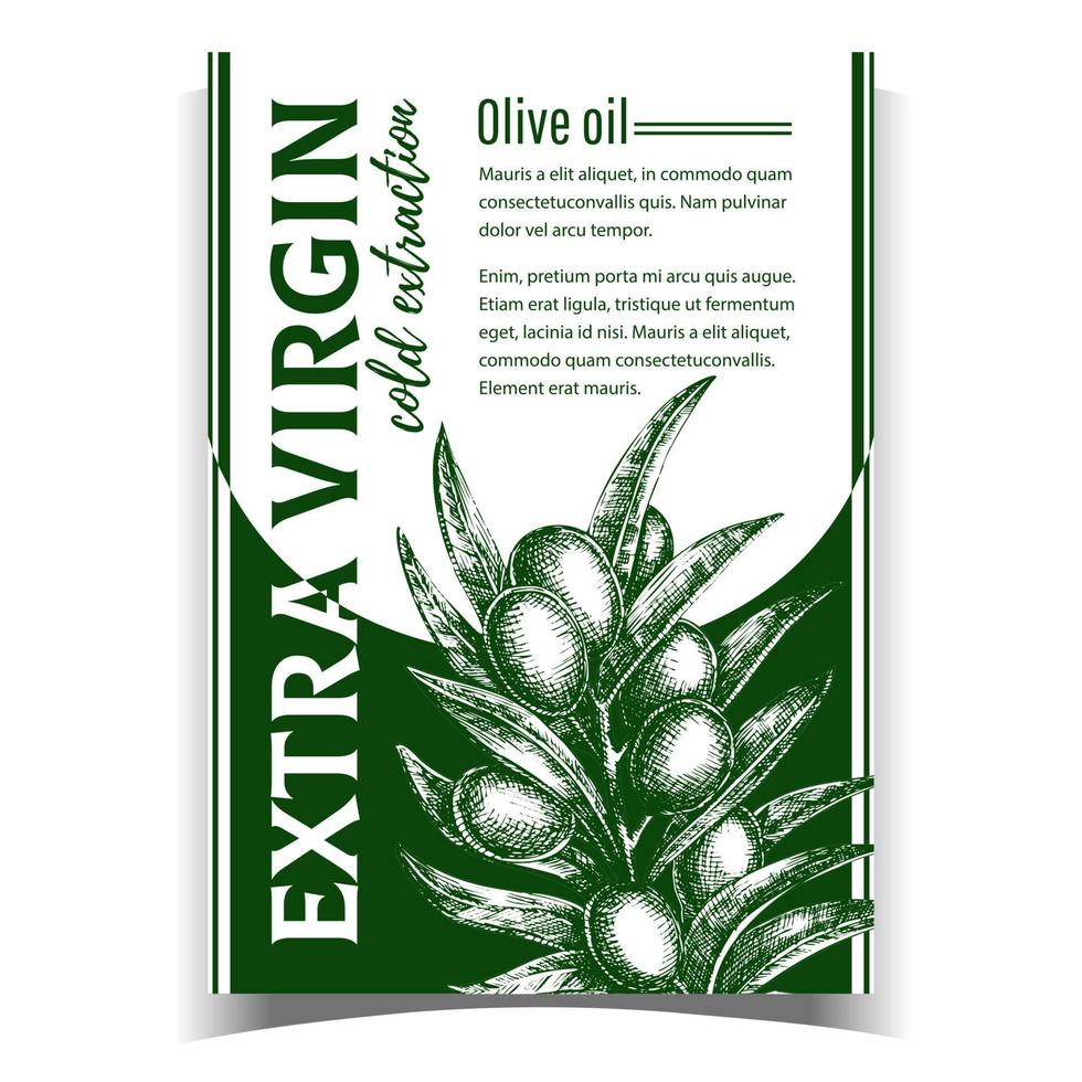Natural Fresh Olive Tree Branch Banner Vector