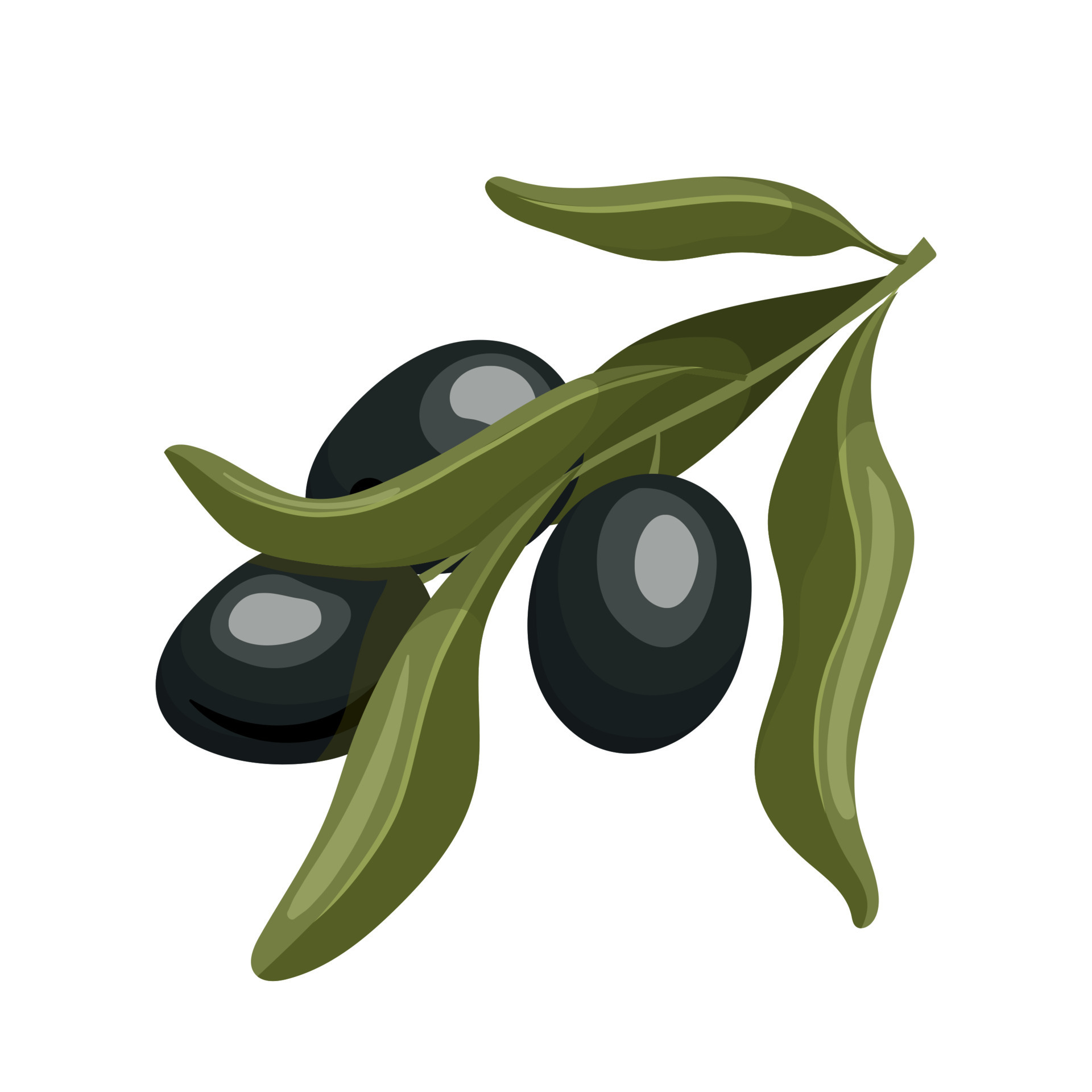 olive black cartoon vector illustration 17416267 Vector Art at Vecteezy