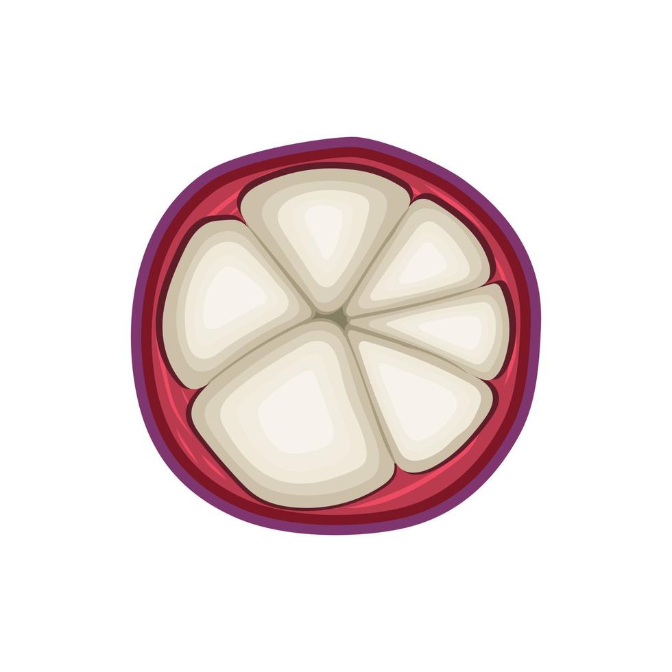 mangosteen fruit cut cartoon vector illustration
