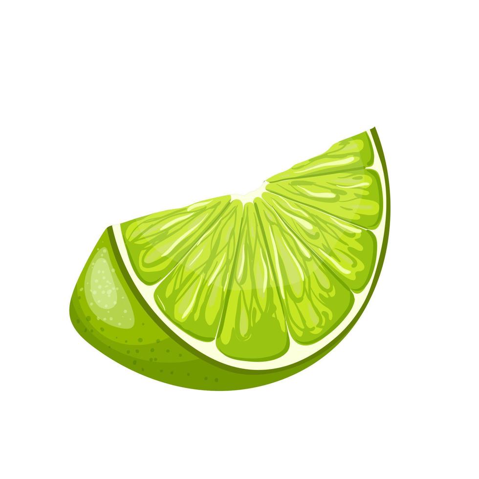 lime piece cartoon vector illustration