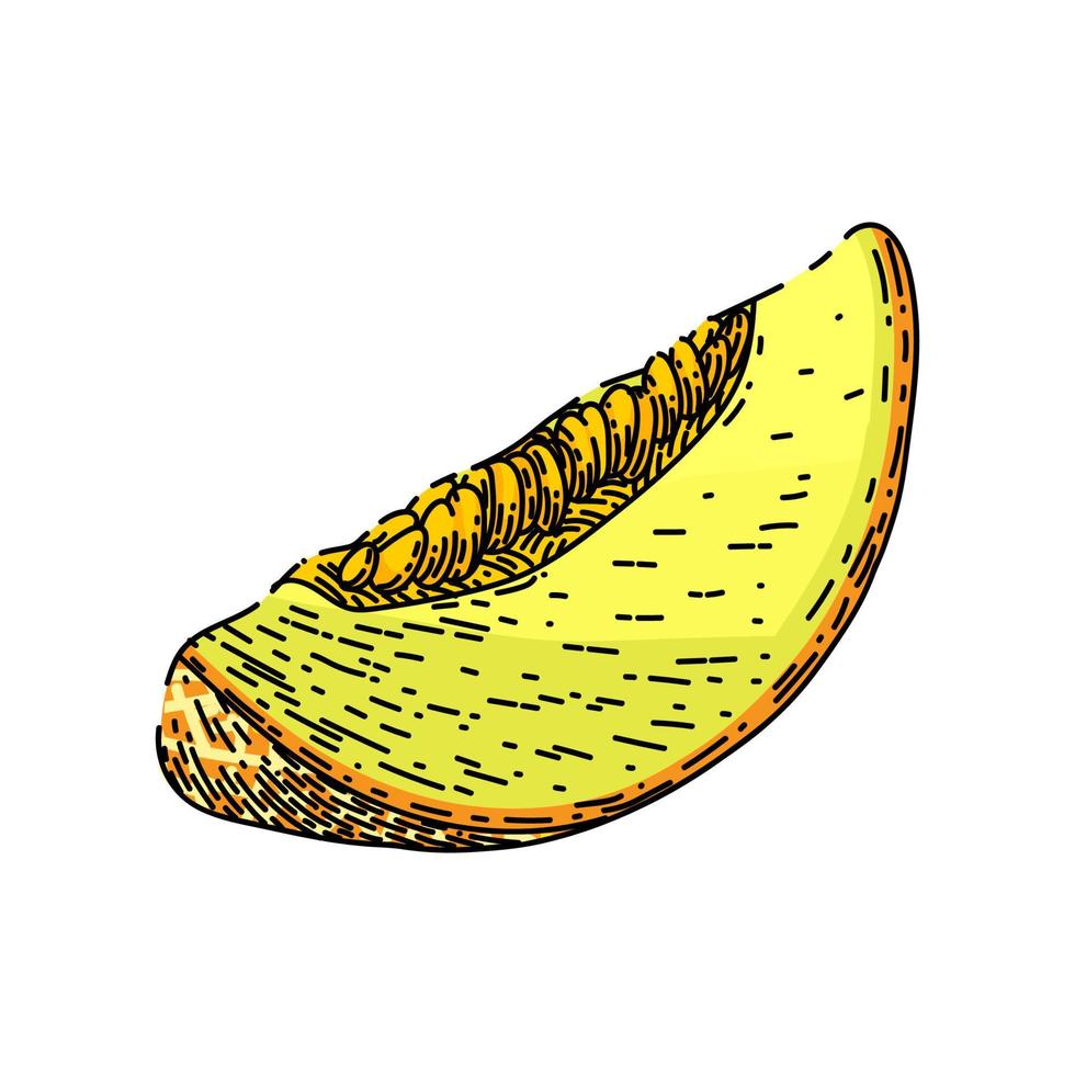 melón amarillo rodaja boceto dibujado a mano vector