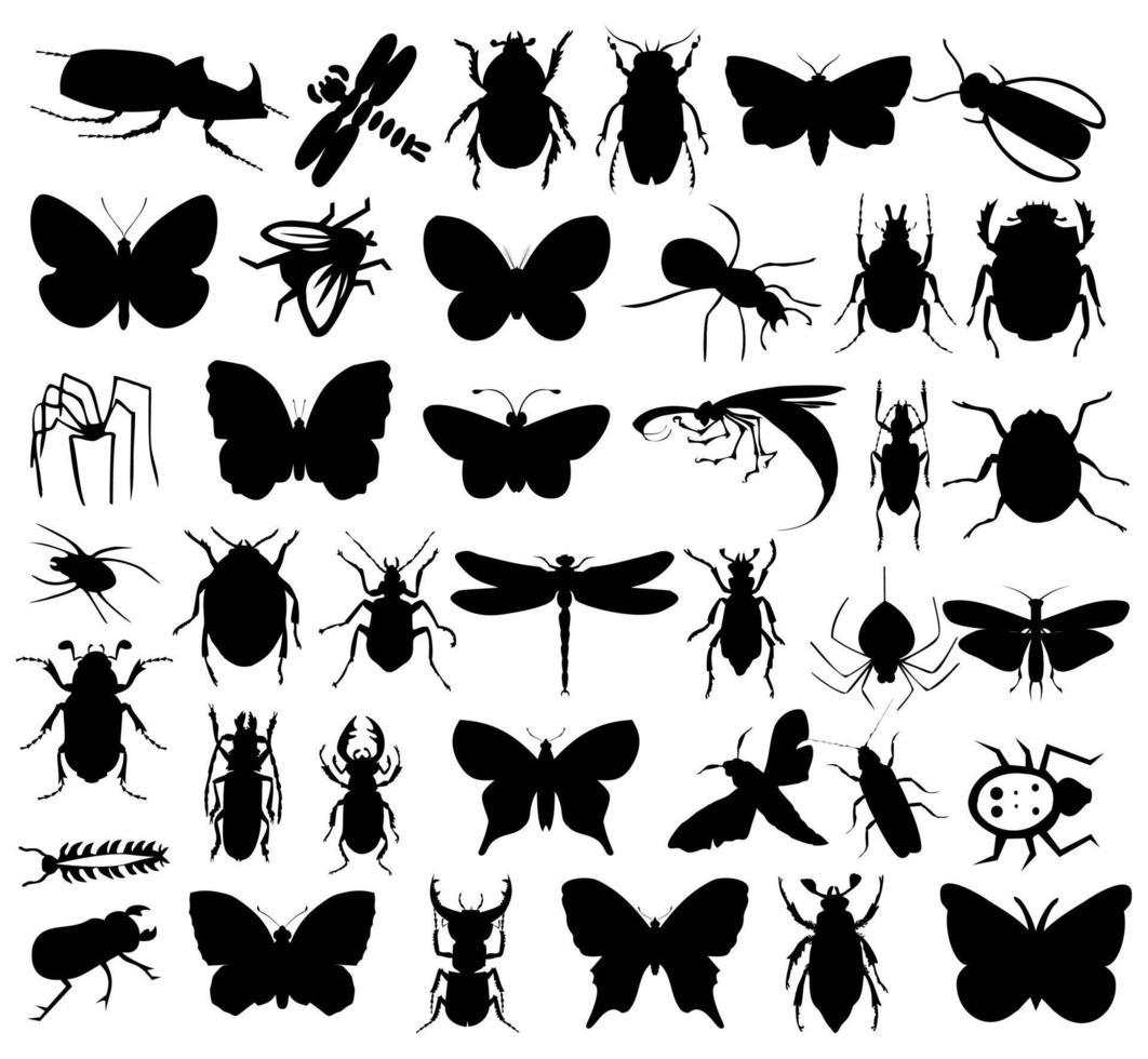 The big collection of insects. A vector illustration