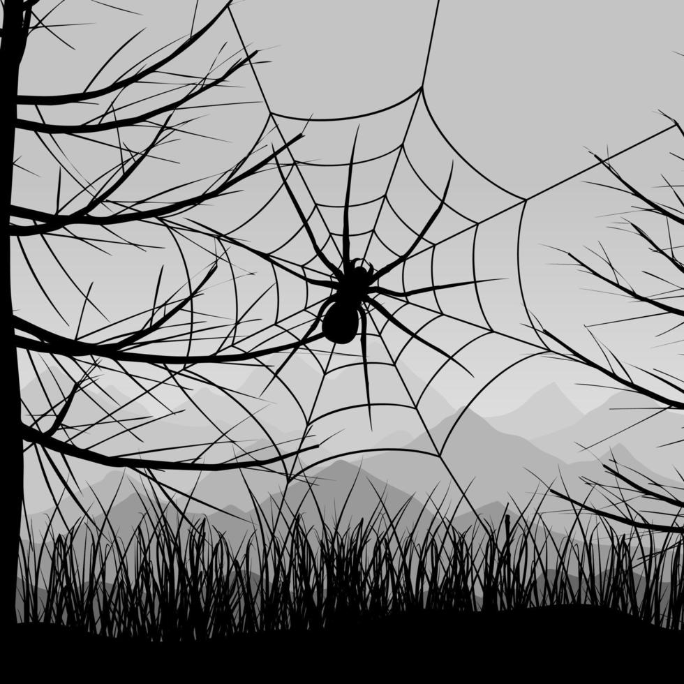 The spider weighs on a web. A vector illustration