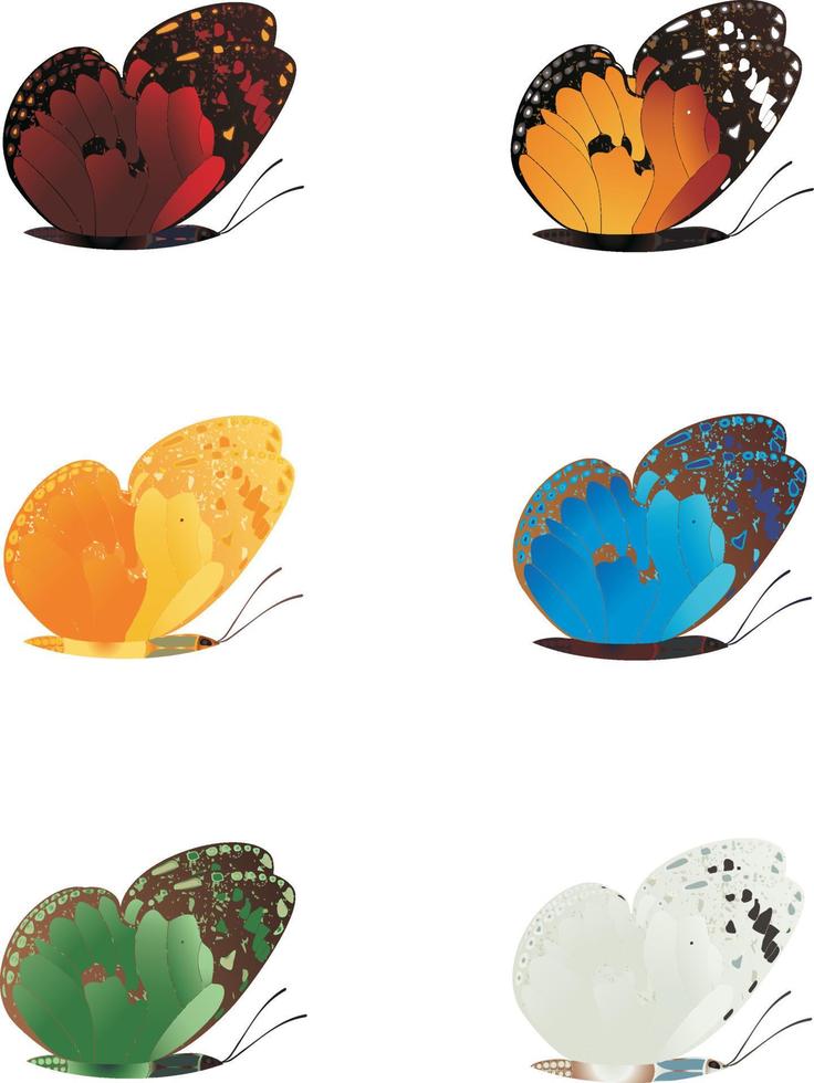 Butterflies for design. A vector illustration