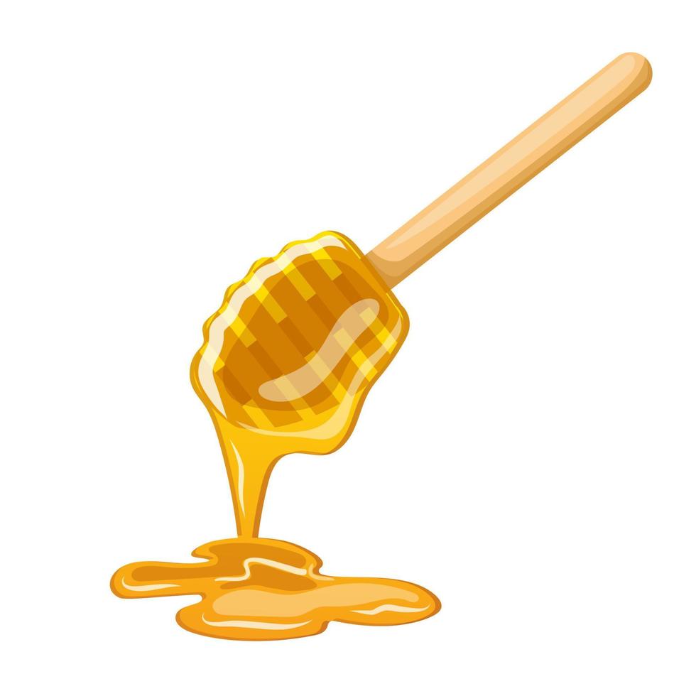 spoon honey cartoon vector illustration