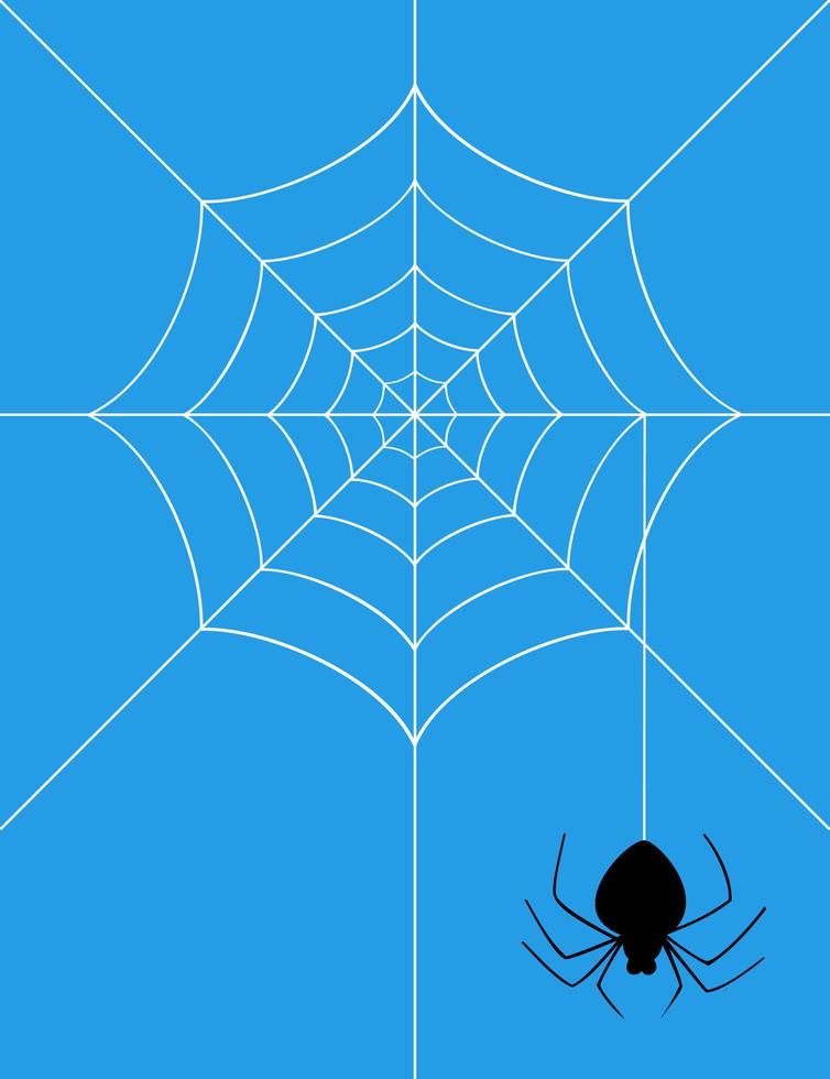 The spider weighs on a web. A vector illustration