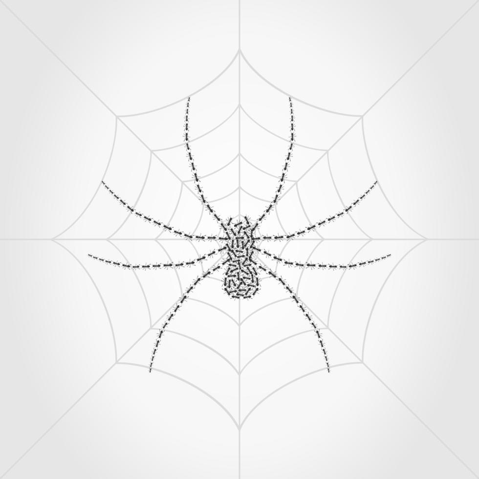 The spider weighs on a web. A vector illustration