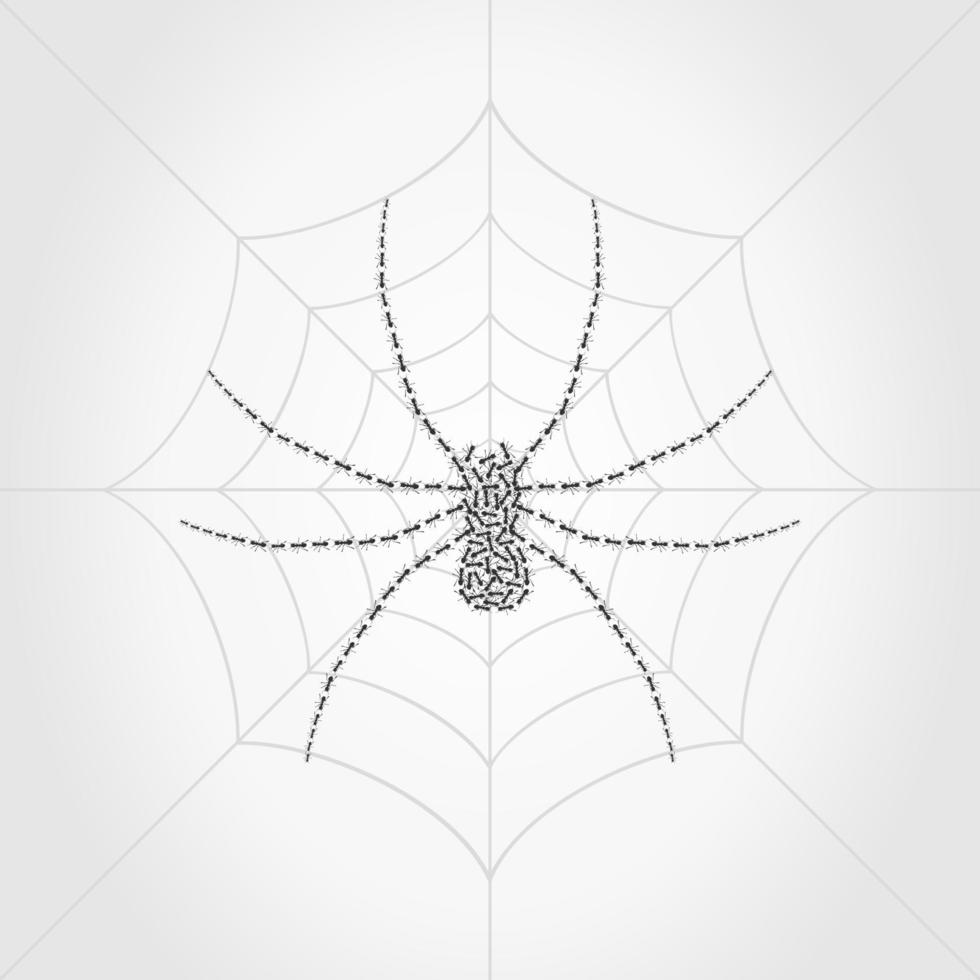 la araña pesa en una telaraña. una ilustración vectorial vector