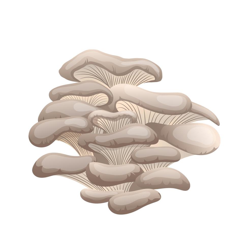 pleurotus mushroom cartoon vector