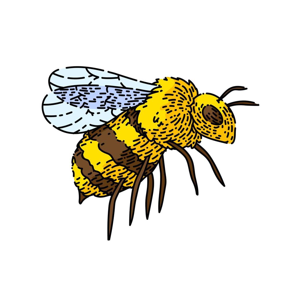 abeja miel boceto dibujado a mano vector