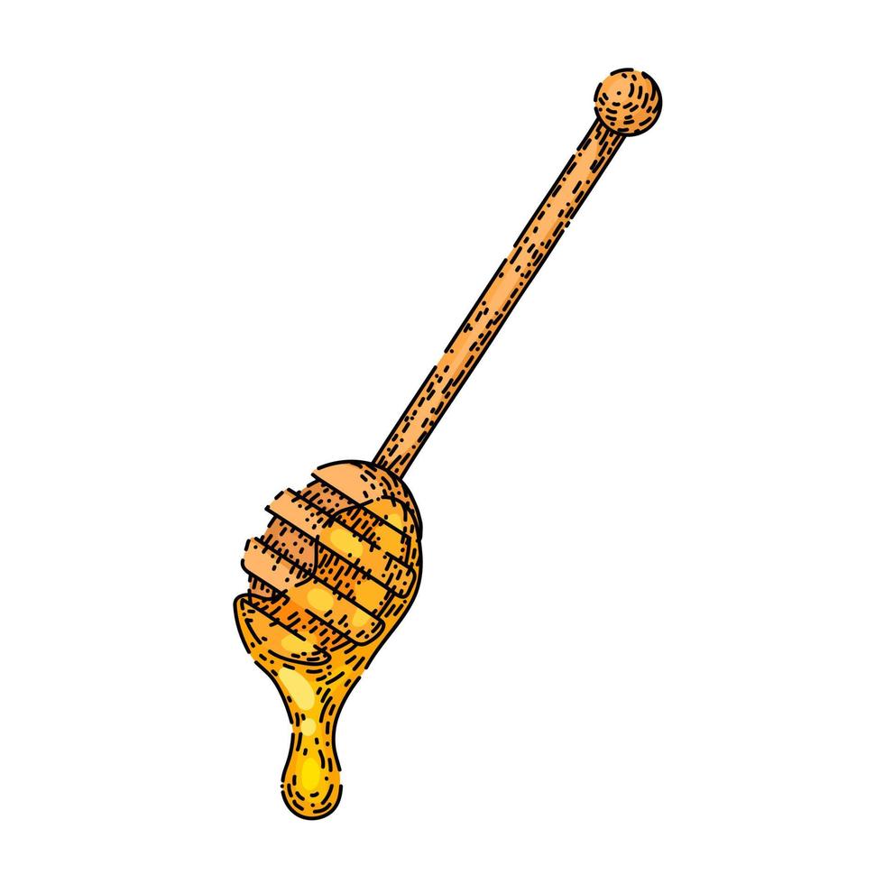 spoon honey sketch hand drawn vector