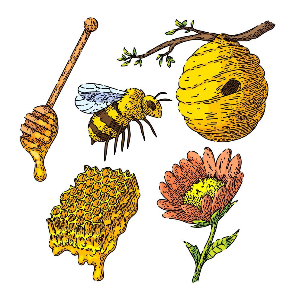 conjunto de abejas de miel boceto dibujado a mano vector