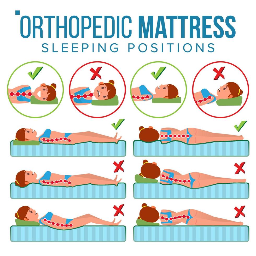 Orthopedic Mattress Vector. Curvature Of Human Spine. Sleeping Position. Spine Support. Health Body. Pillow. Comfortable Bed. Various Mattresses. Correct Spine. Isolated Flat Illustration vector