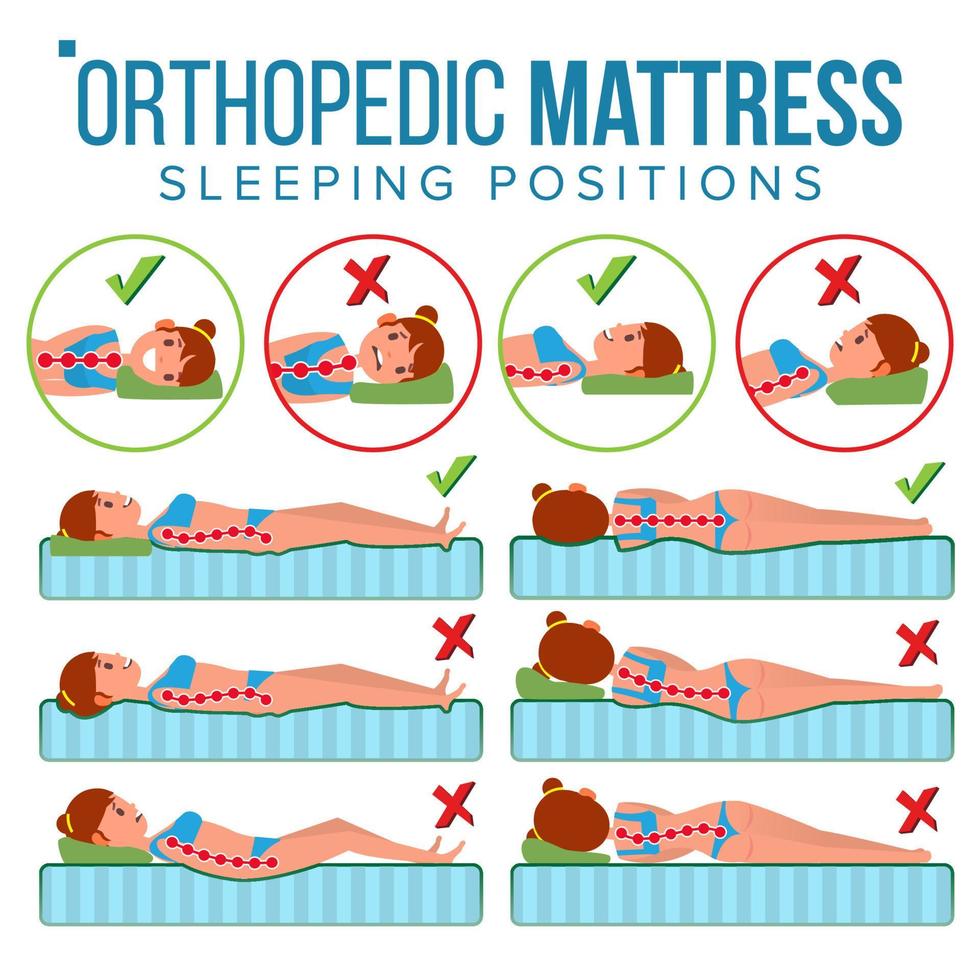 vector de colchón ortopédico. curvatura de la columna vertebral humana. posición para dormir soporte de la columna vertebral. cuerpo de salud. almohada. cama cómoda. varios colchones. columna correcta. ilustración plana aislada