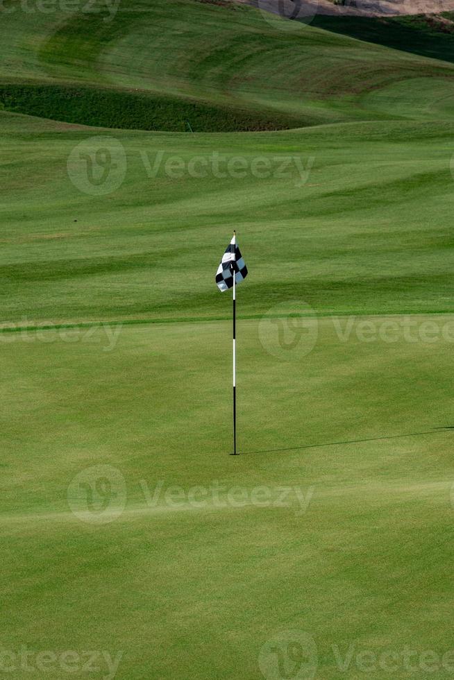 desert golf course green photo