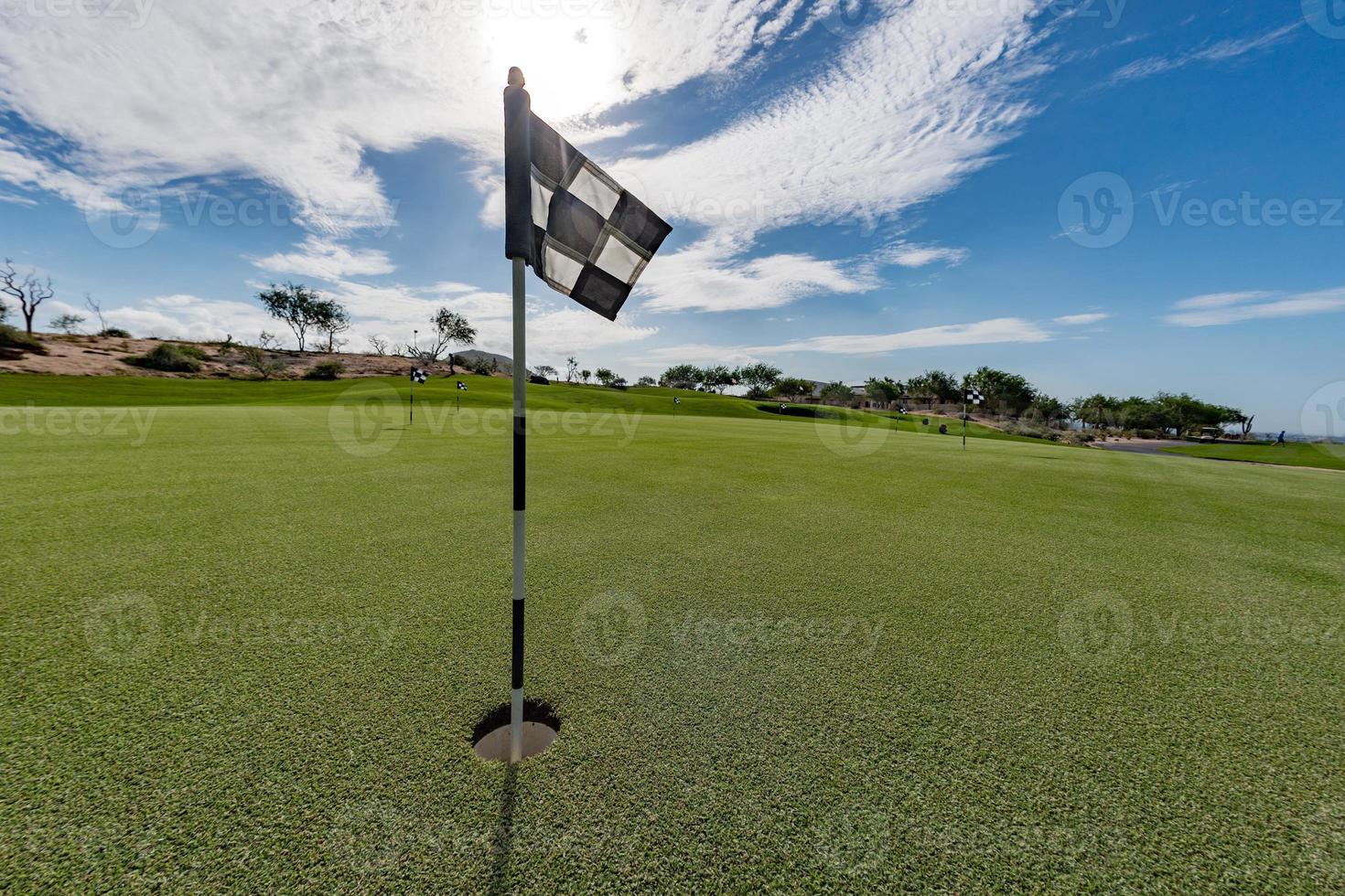 desert golf course green photo