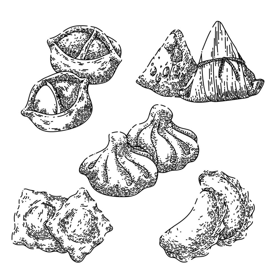 bola de masa hervida conjunto chino boceto dibujado a mano vector