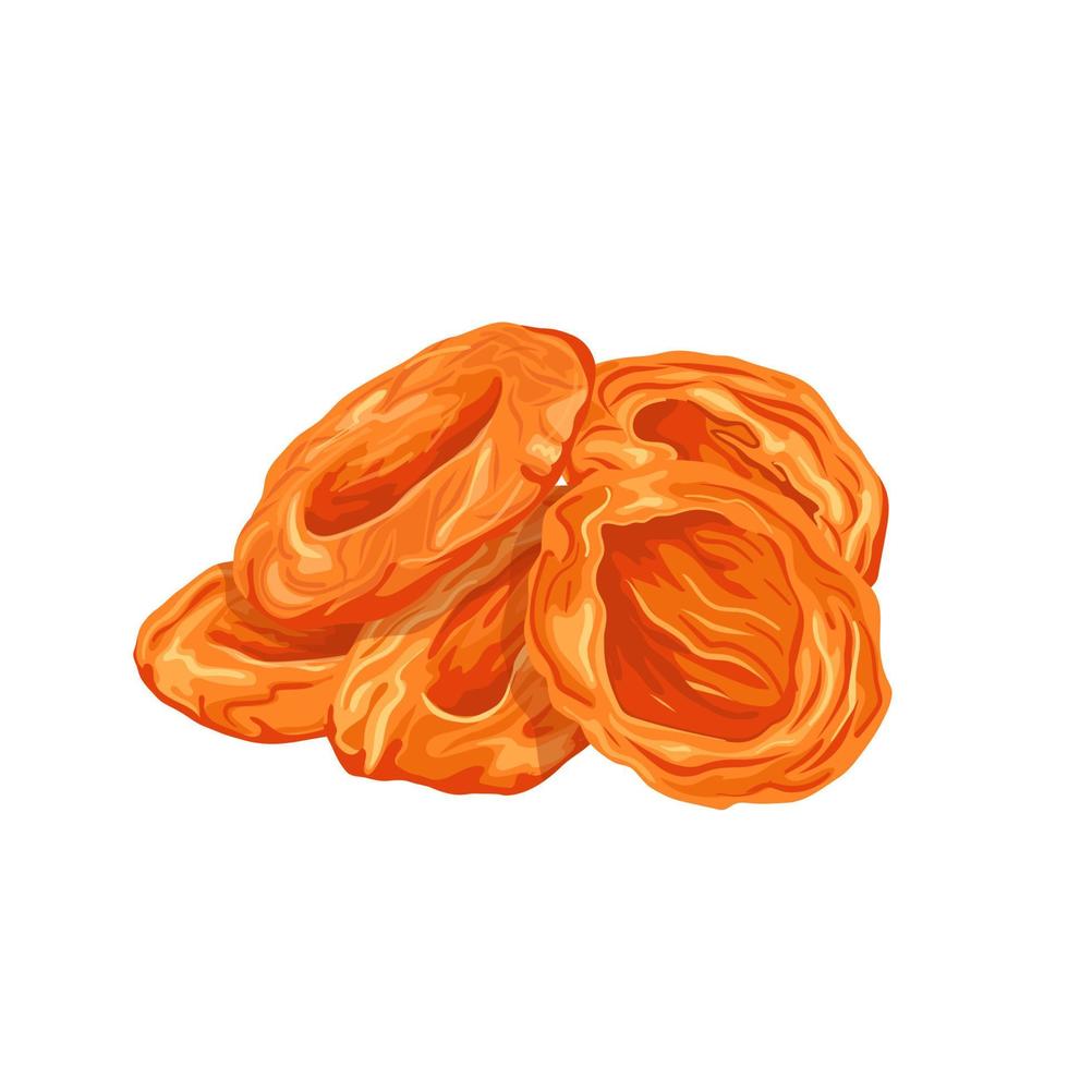 apricot dried fruit cartoon vector illustration