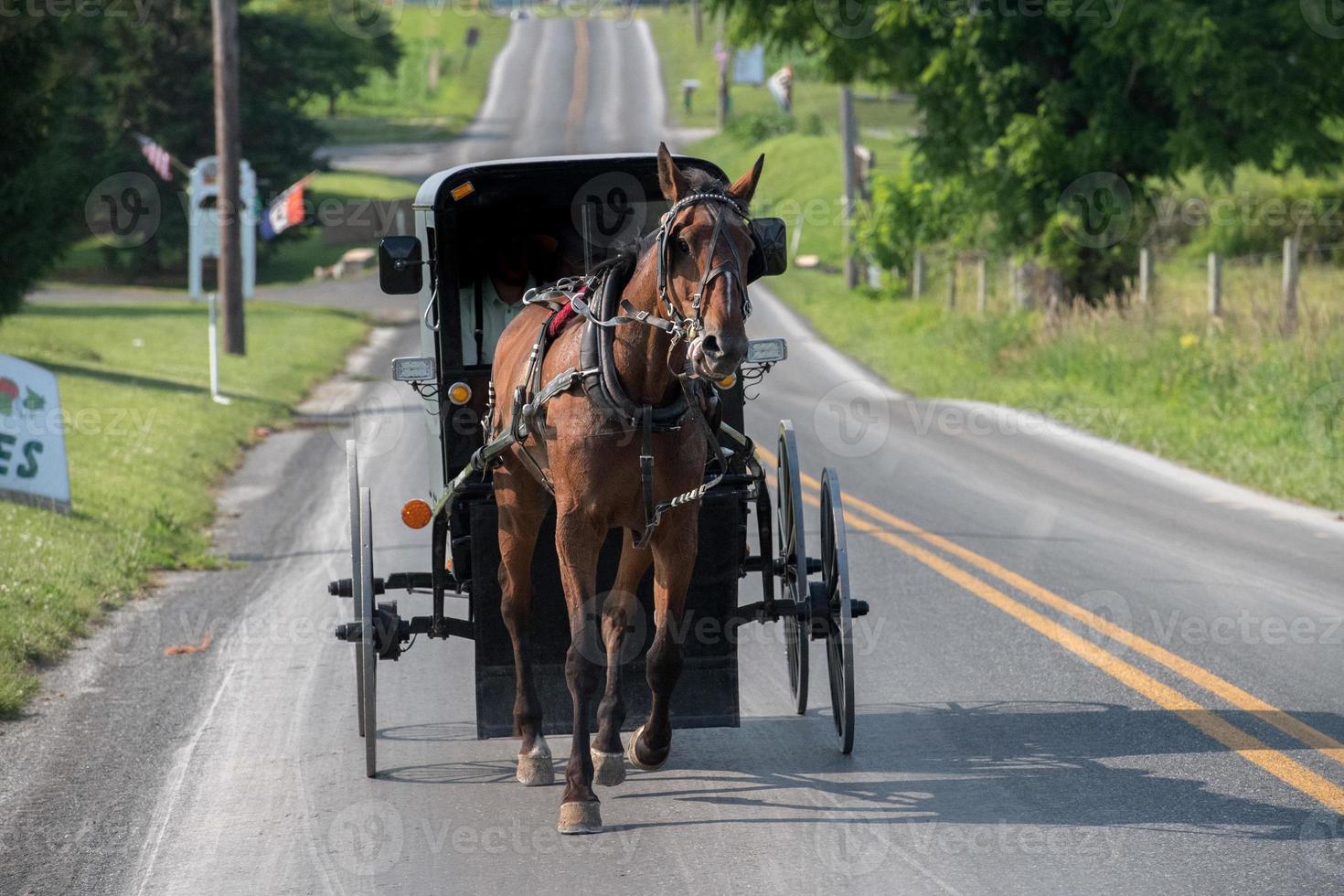 wagon buggy in lancaster pennsylvania amish country photo