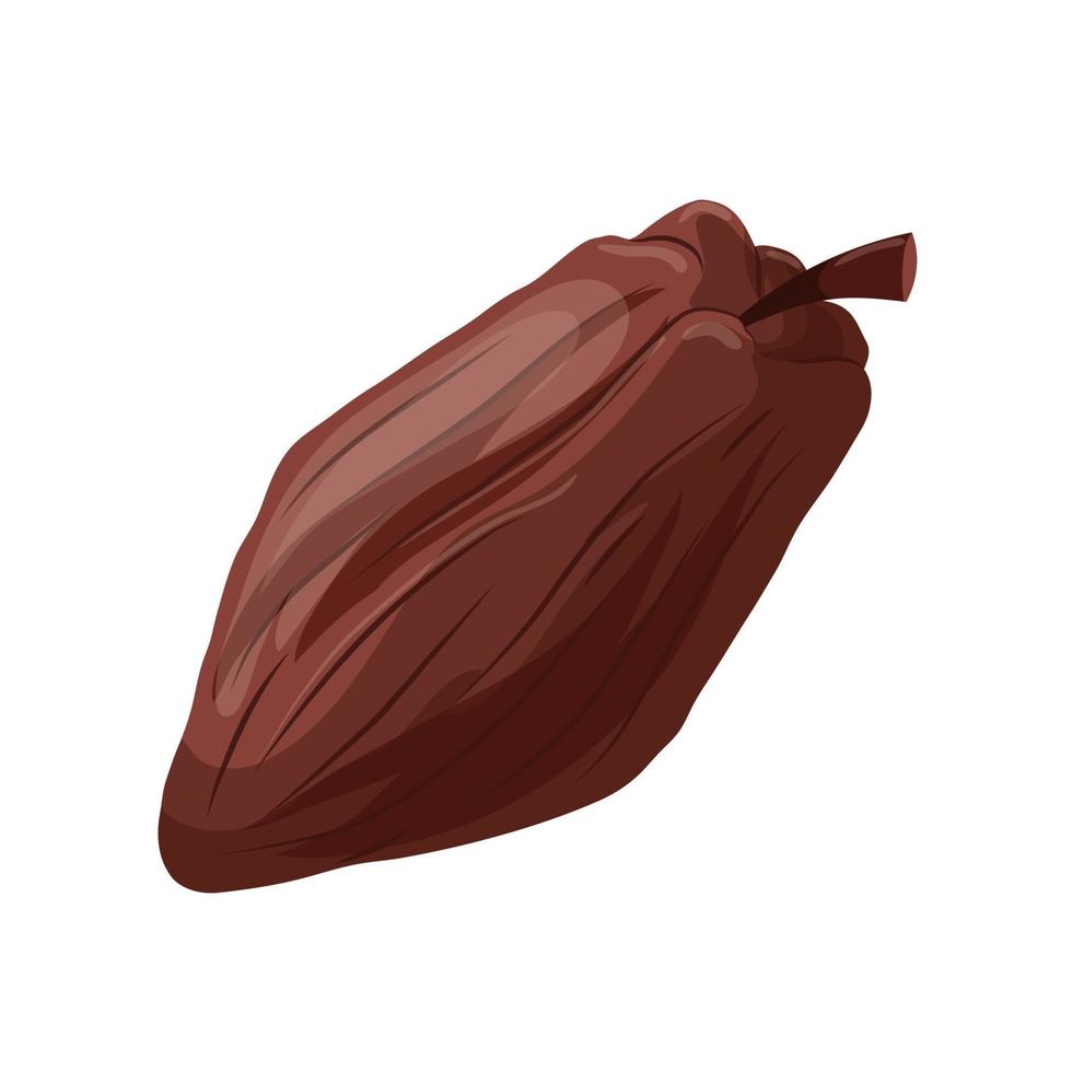vector de dibujos animados de grano de cacao