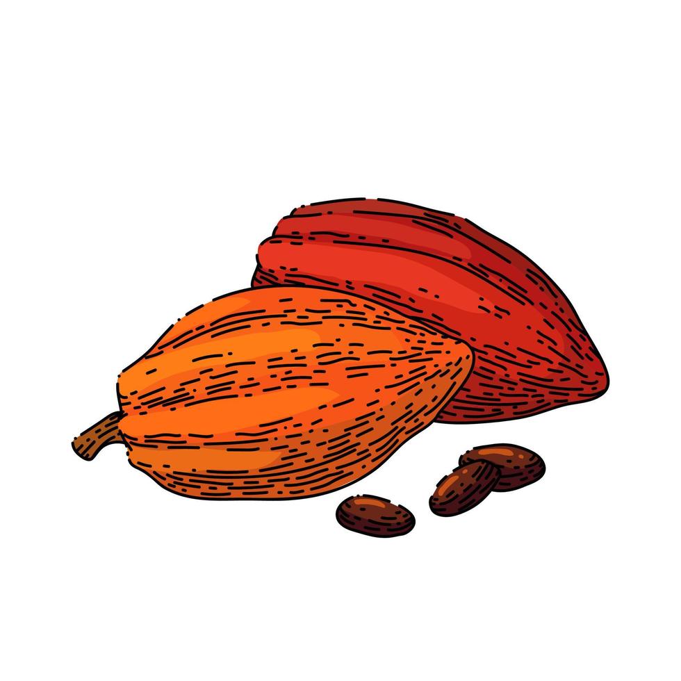 chocolate cocoa sketch hand drawn vector