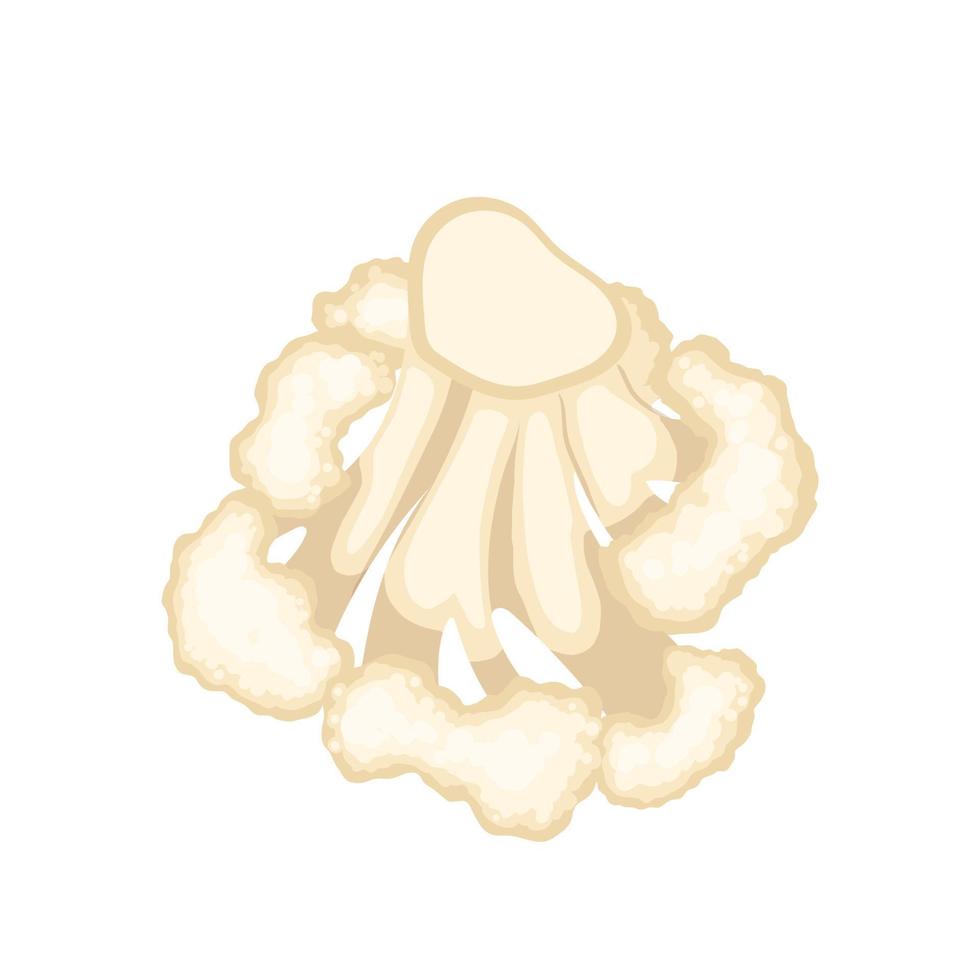 ilustración de vector de dibujos animados de coliflor blanco