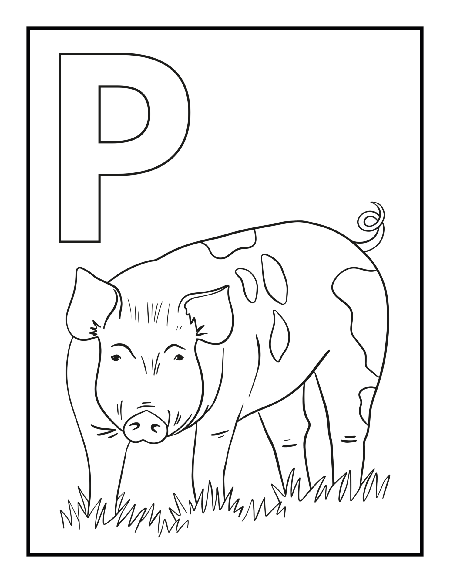 Free coloring alphabet p 17420587 png with transparent background