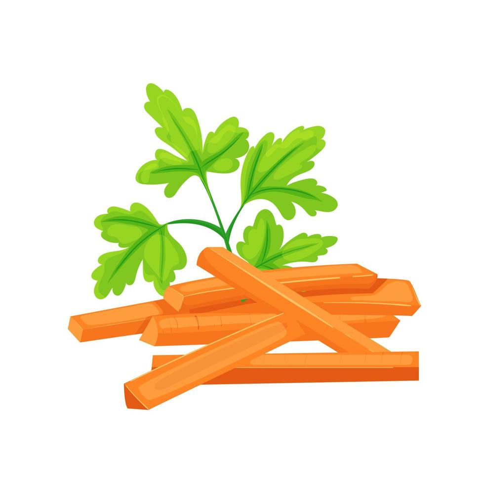carrot cut cartoon vector illustration