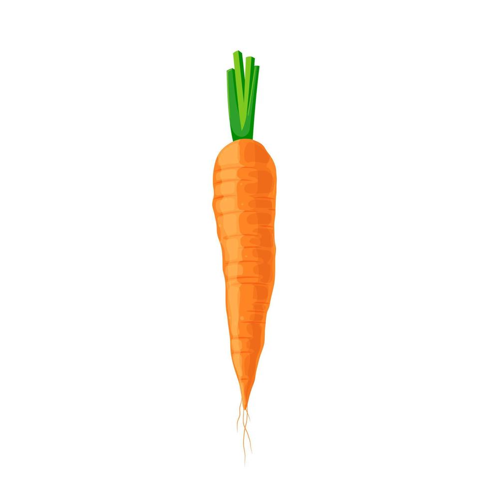 carrot food cartoon vector illustration