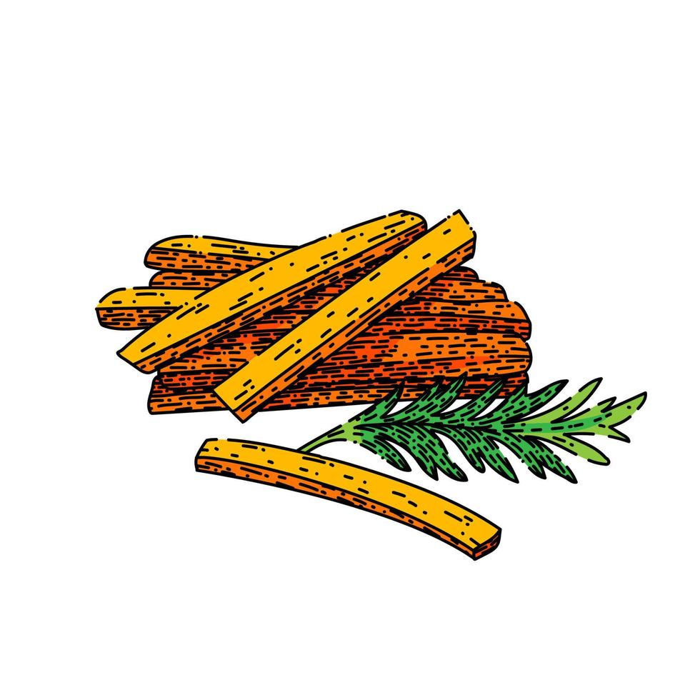 carrot cut sketch hand drawn vector
