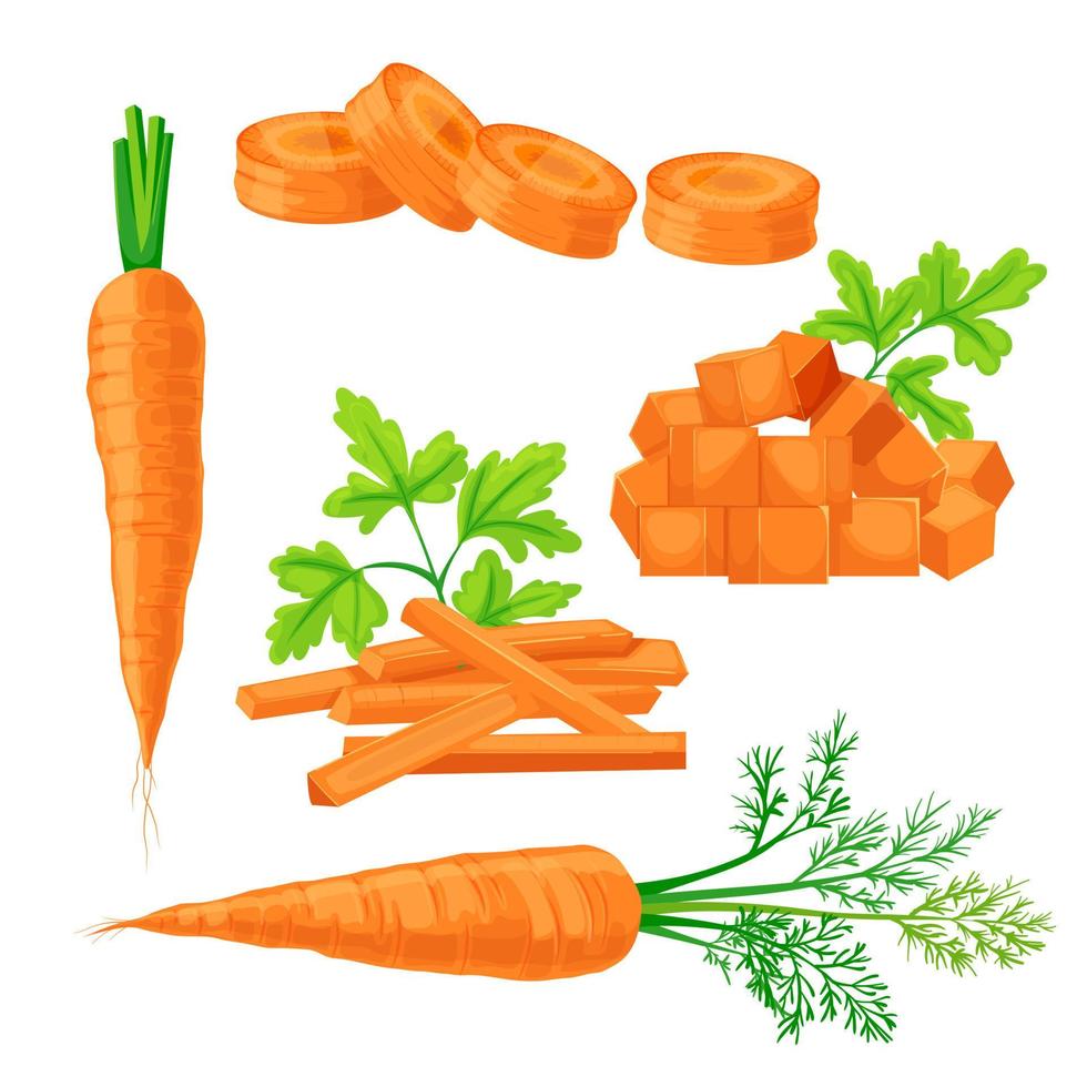 carrot vegetable set cartoon vector illustration