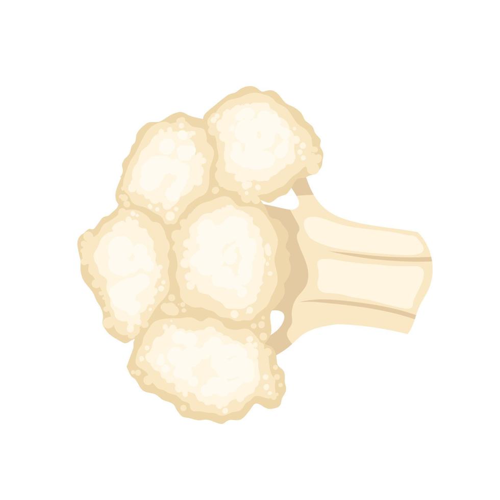 ilustración de vector de dibujos animados de coliflor blanco