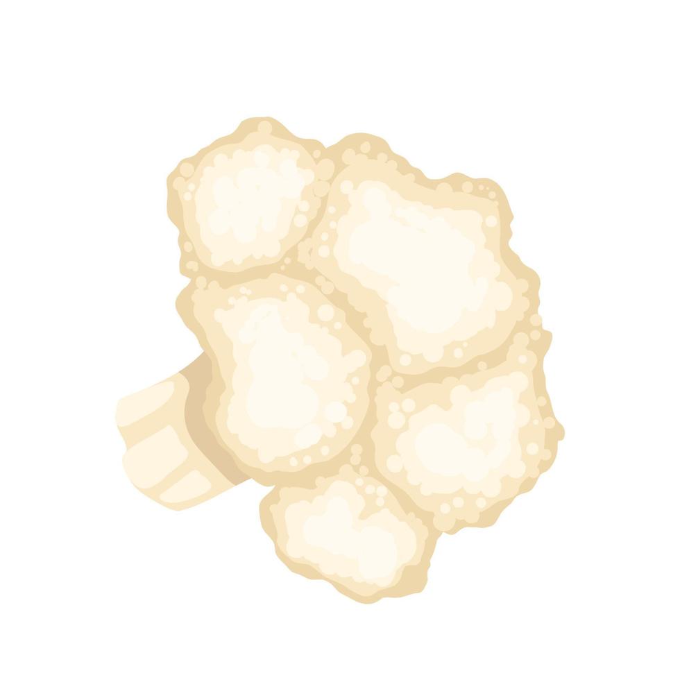 ilustración de vector de dibujos animados de coliflor blanco