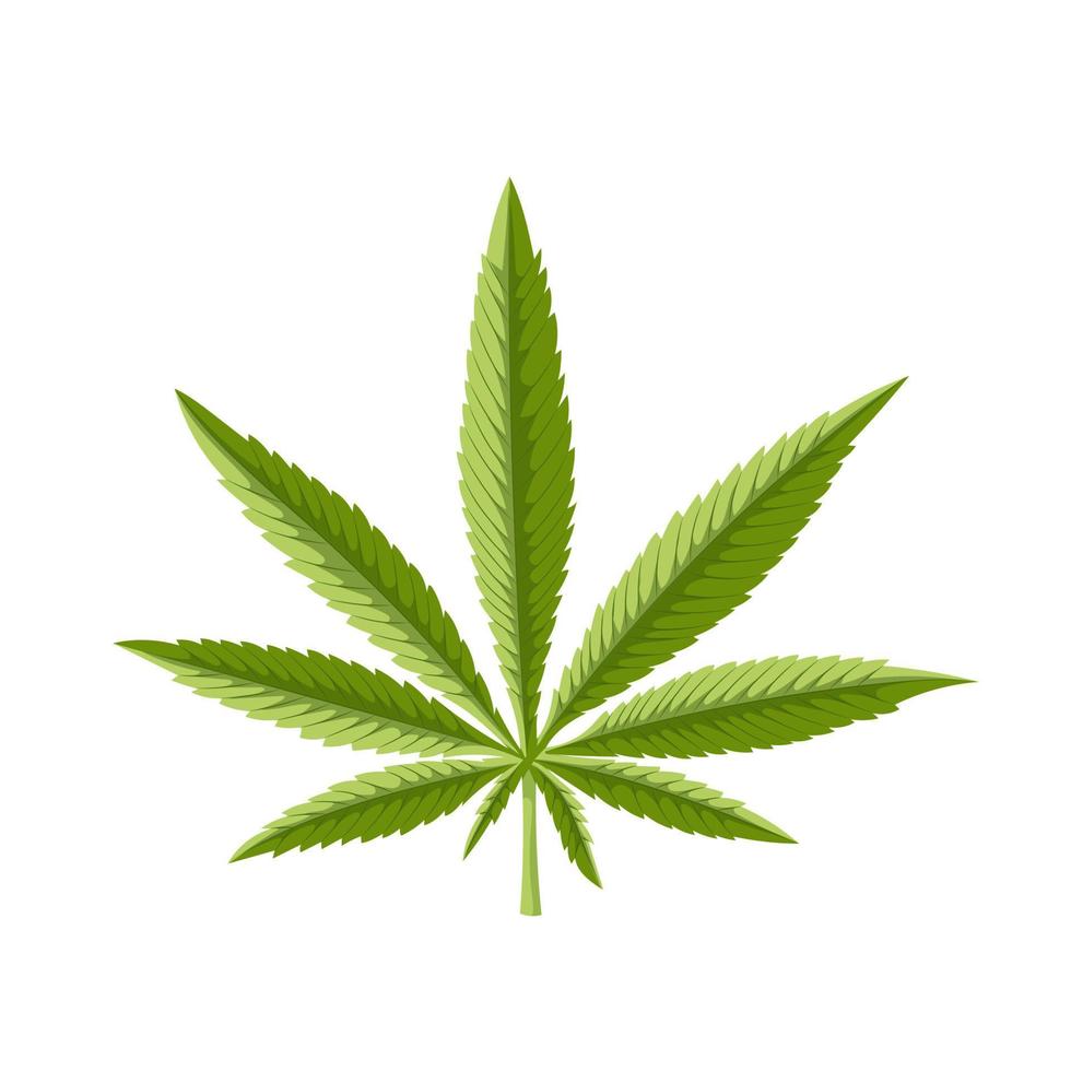 cannabis plant cartoon vector illustration
