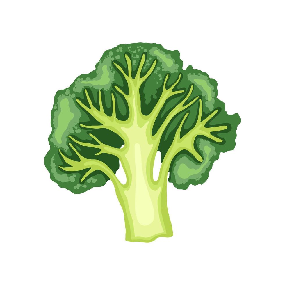 broccoli cut cartoon vector illustration