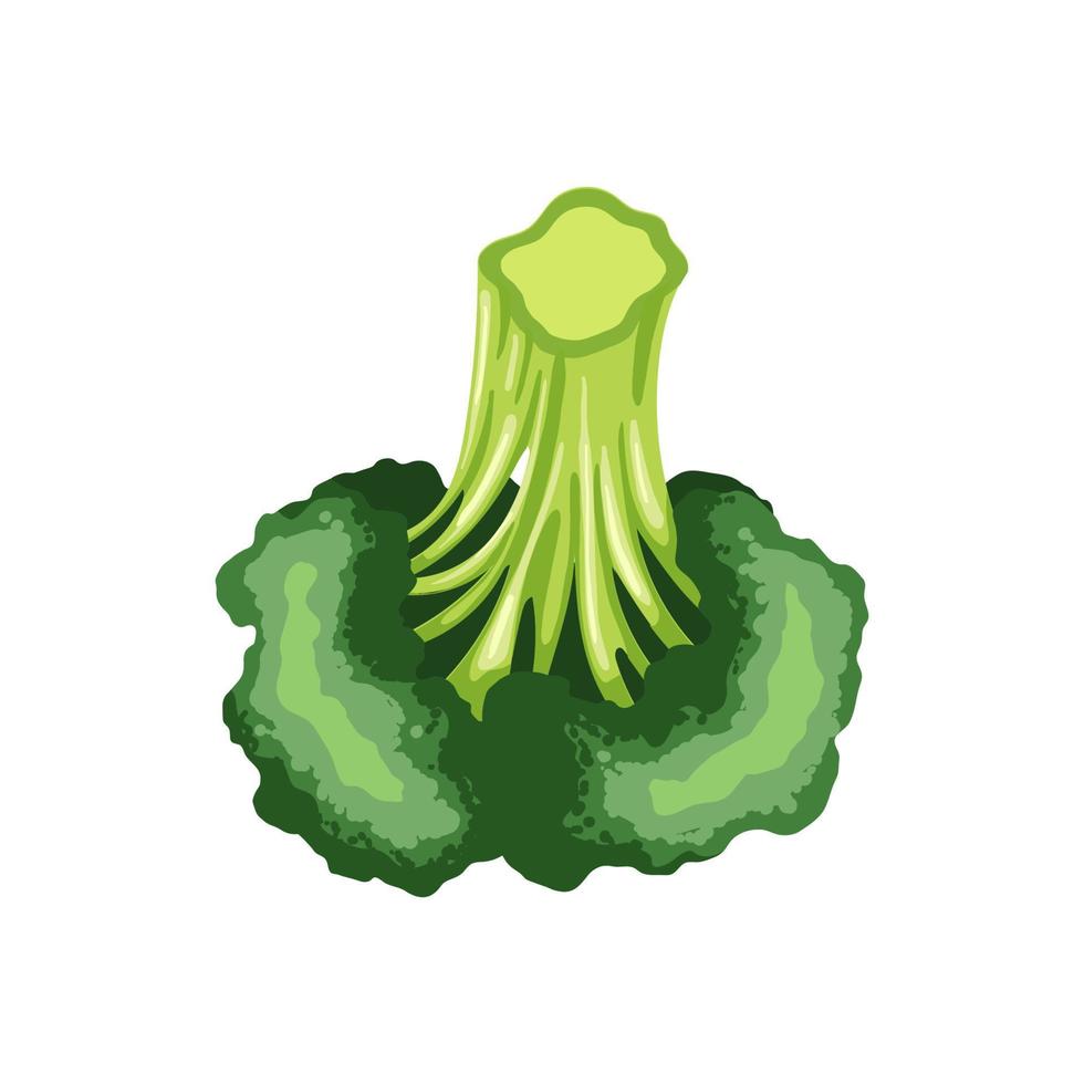 ilustración de vector de dibujos animados verde brócoli