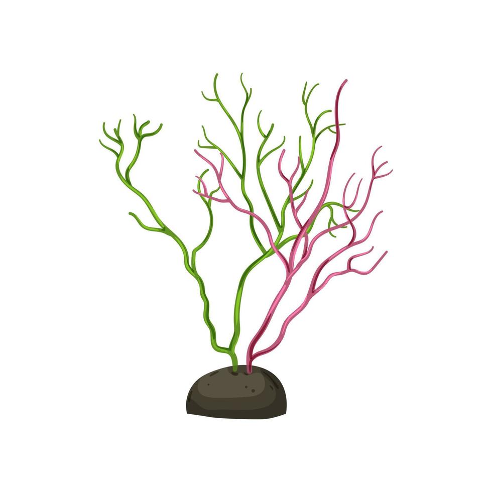 nature aquarium plant cartoon vector illustration