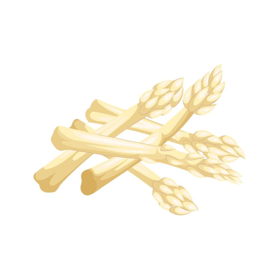 asparagus white cartoon vector illustration