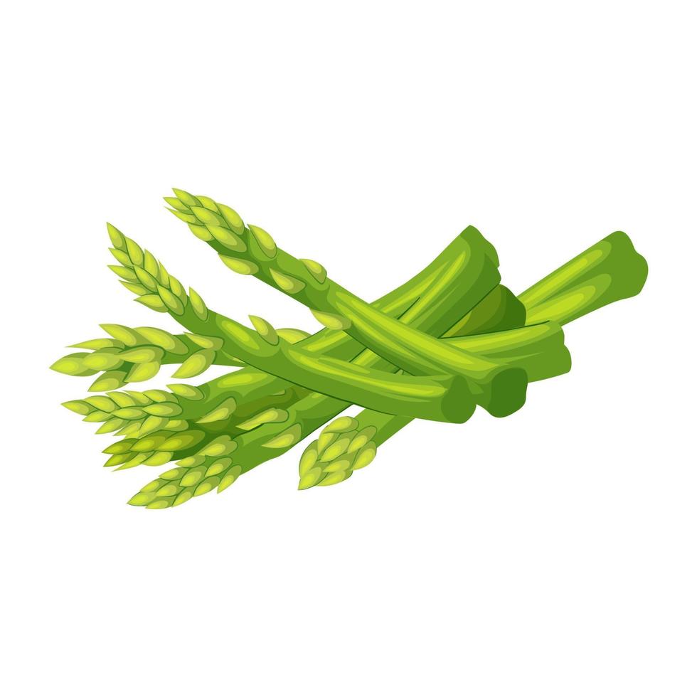 asparagus food cartoon vector illustration