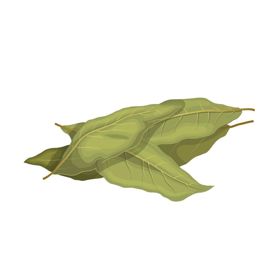 ilustración de vector de dibujos animados de planta de hoja de laurel